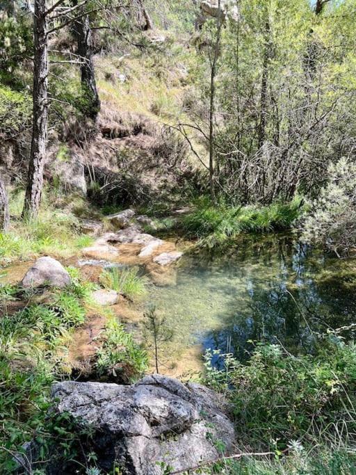 Cabana El Paraiso مانزانيرا المظهر الخارجي الصورة