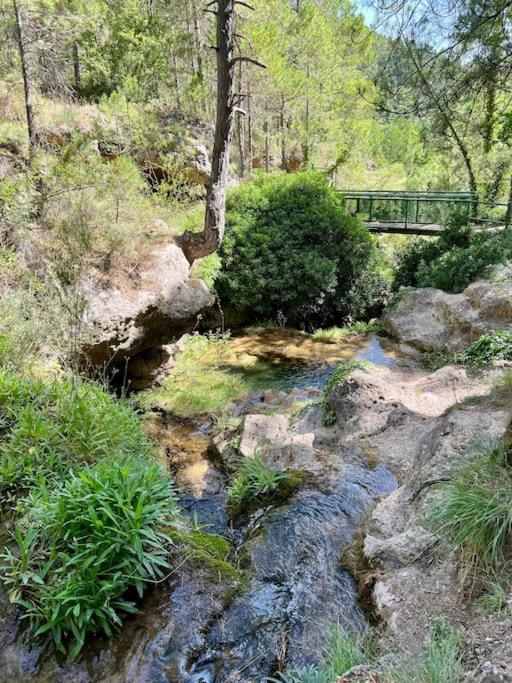 Cabana El Paraiso مانزانيرا المظهر الخارجي الصورة